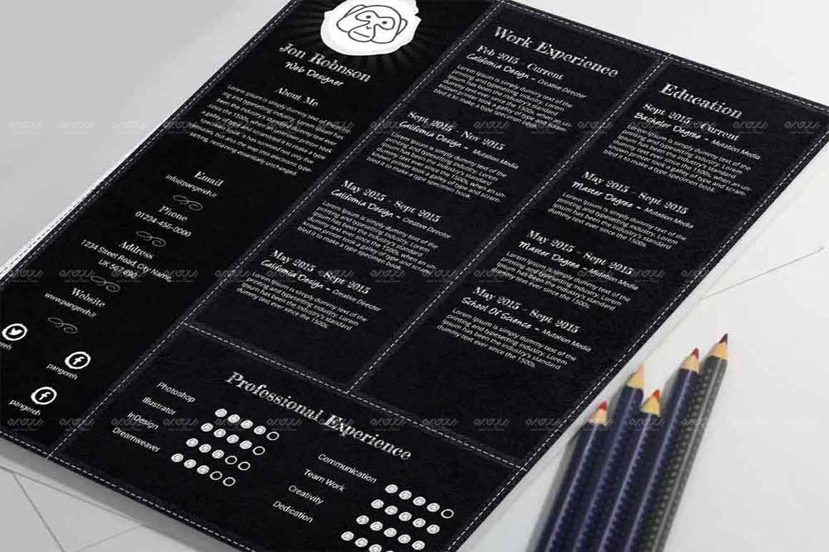 طرح لایه باز رزومه خلاقانه کد 111