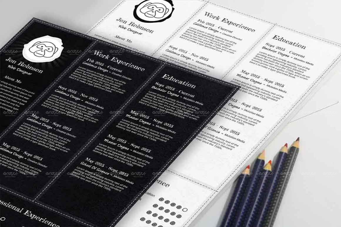 طرح لایه باز رزومه خلاقانه کد 111